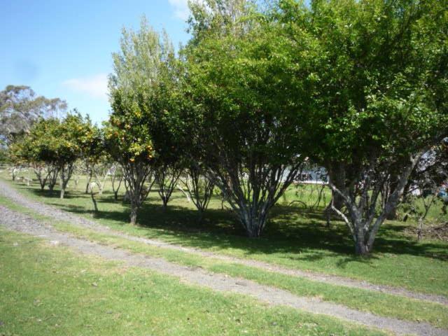 Blue House Awanui Exterior photo